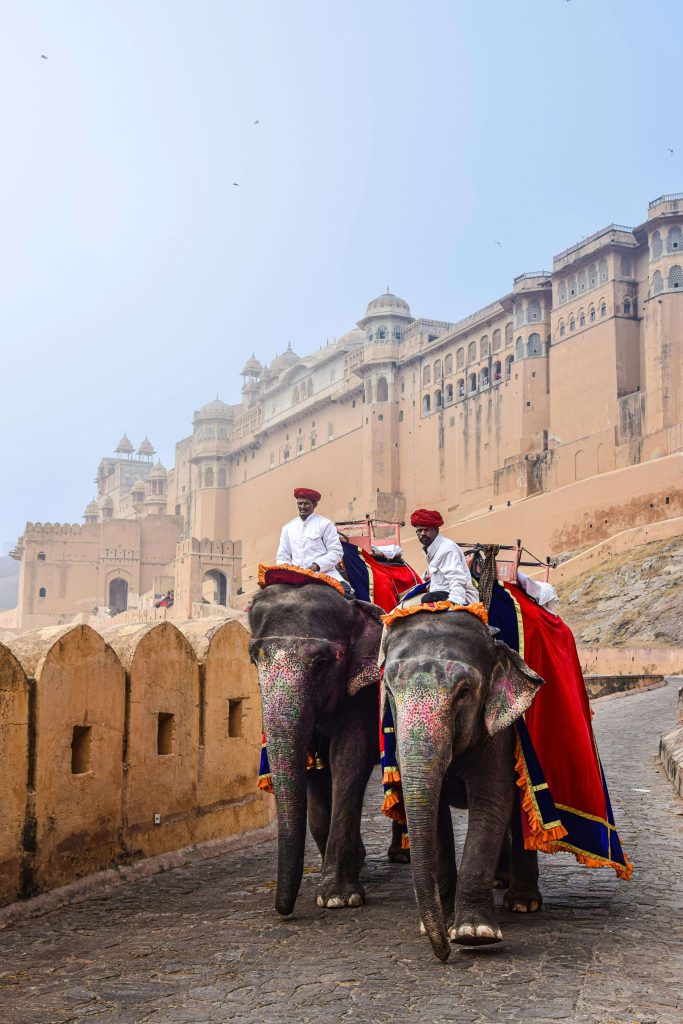 Aamer Fort with Elephant